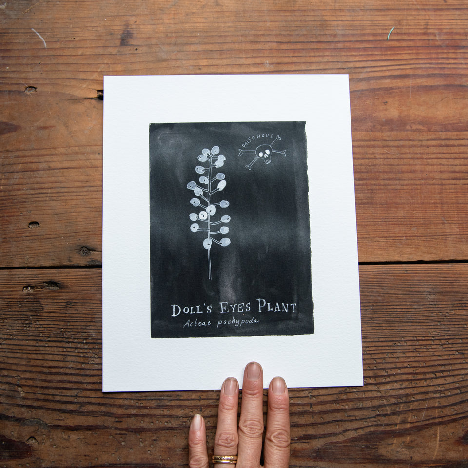 Botanical Art Print: Doll’s Eyes Plant