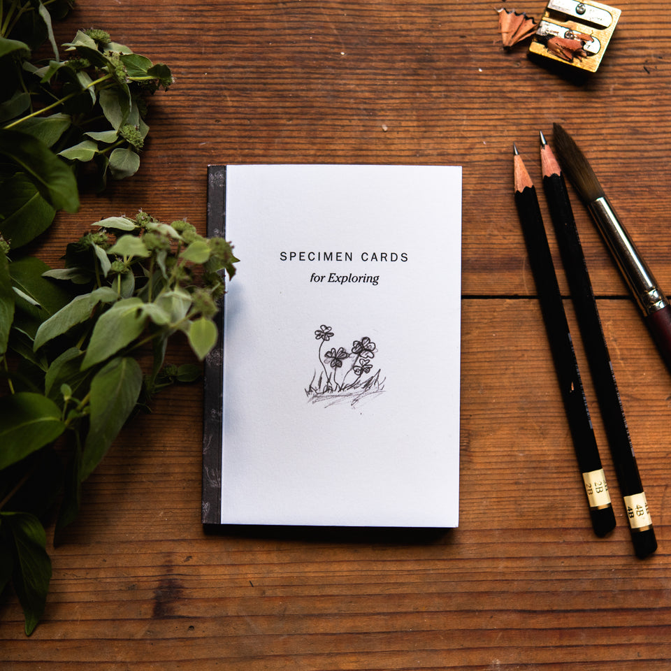 Specimen Card Notebook