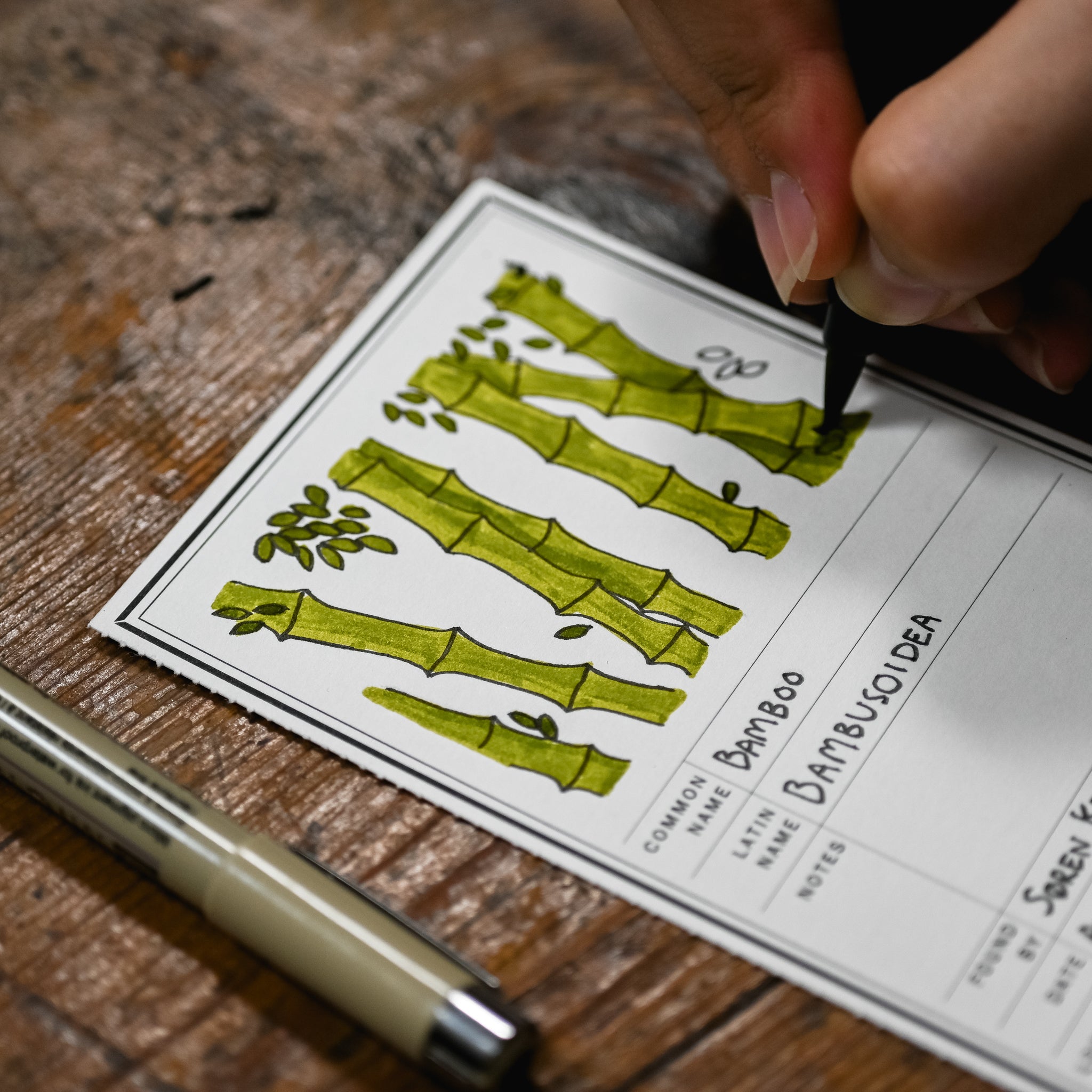 Specimen Card Notebook