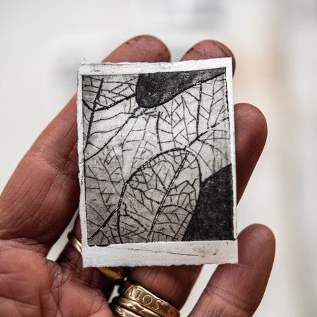 “Anna’s Oak” Tetra Pak Print
