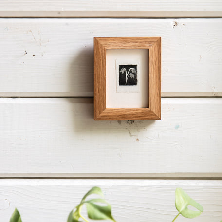 “Blue Cohosh Emerging” Tetra Pak Print