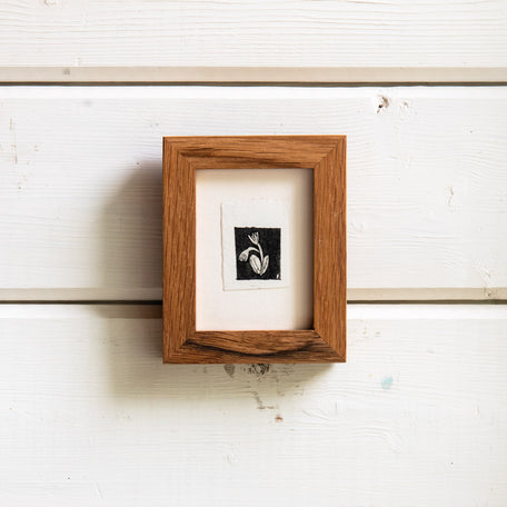 “Blue Cohosh Emerging No. 2” Tetra Pak Print