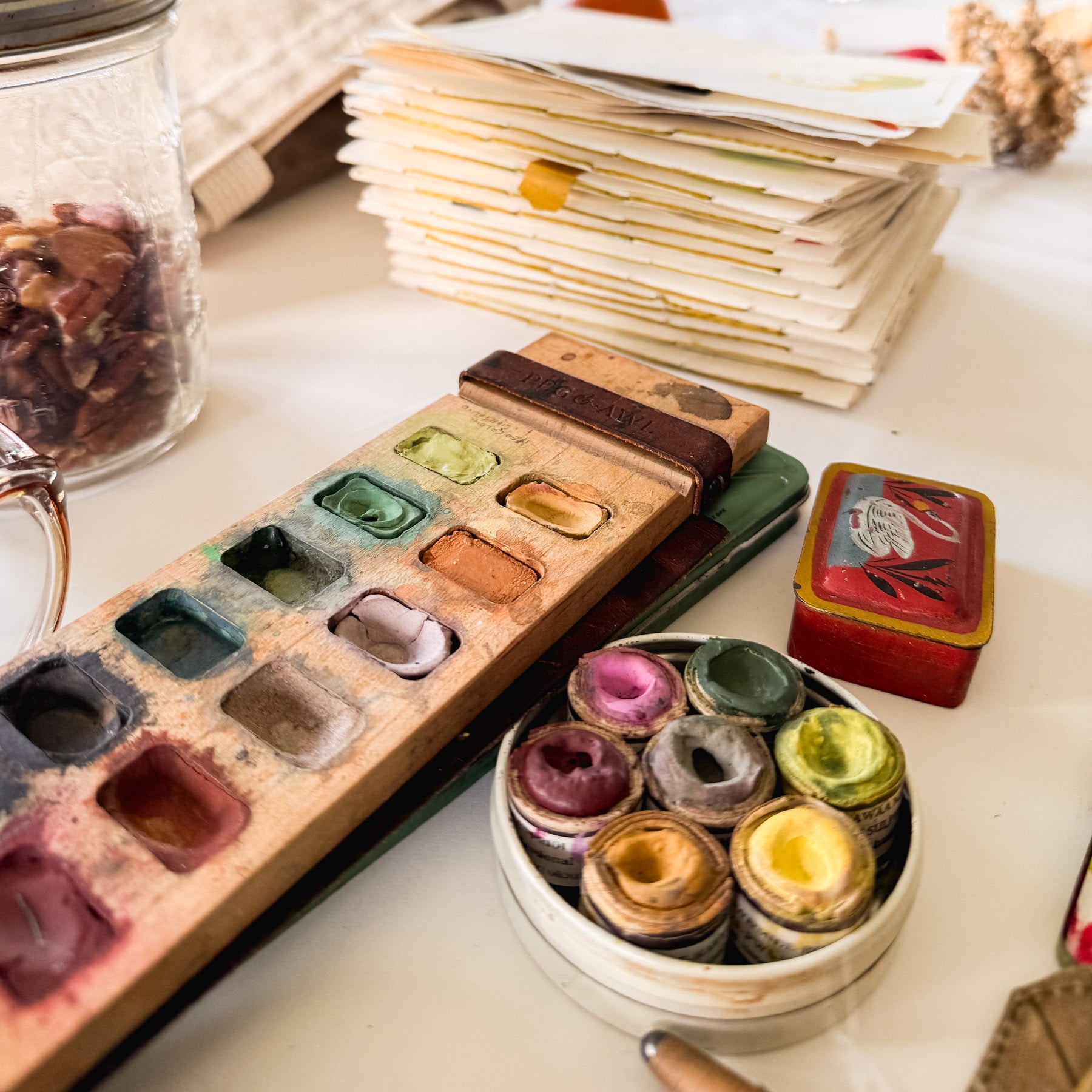 Iris Painter’s Palette