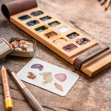 Iris Painter’s Palette