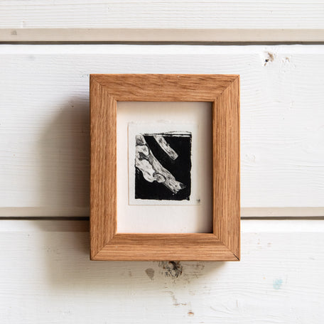 “Lichen on a Stick” Tetra Pak Print