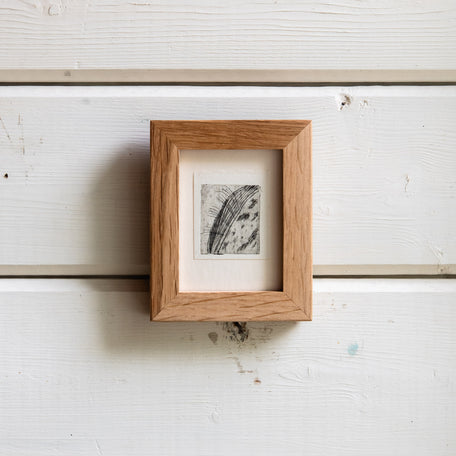 “Milkweed Seed Pod” Tetra Pak Print