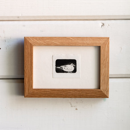 “Morning, Mourning Dove” Tetra Pak Print