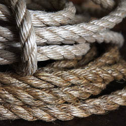 Olde-Fashioned Tree Swing – One of a Kind
