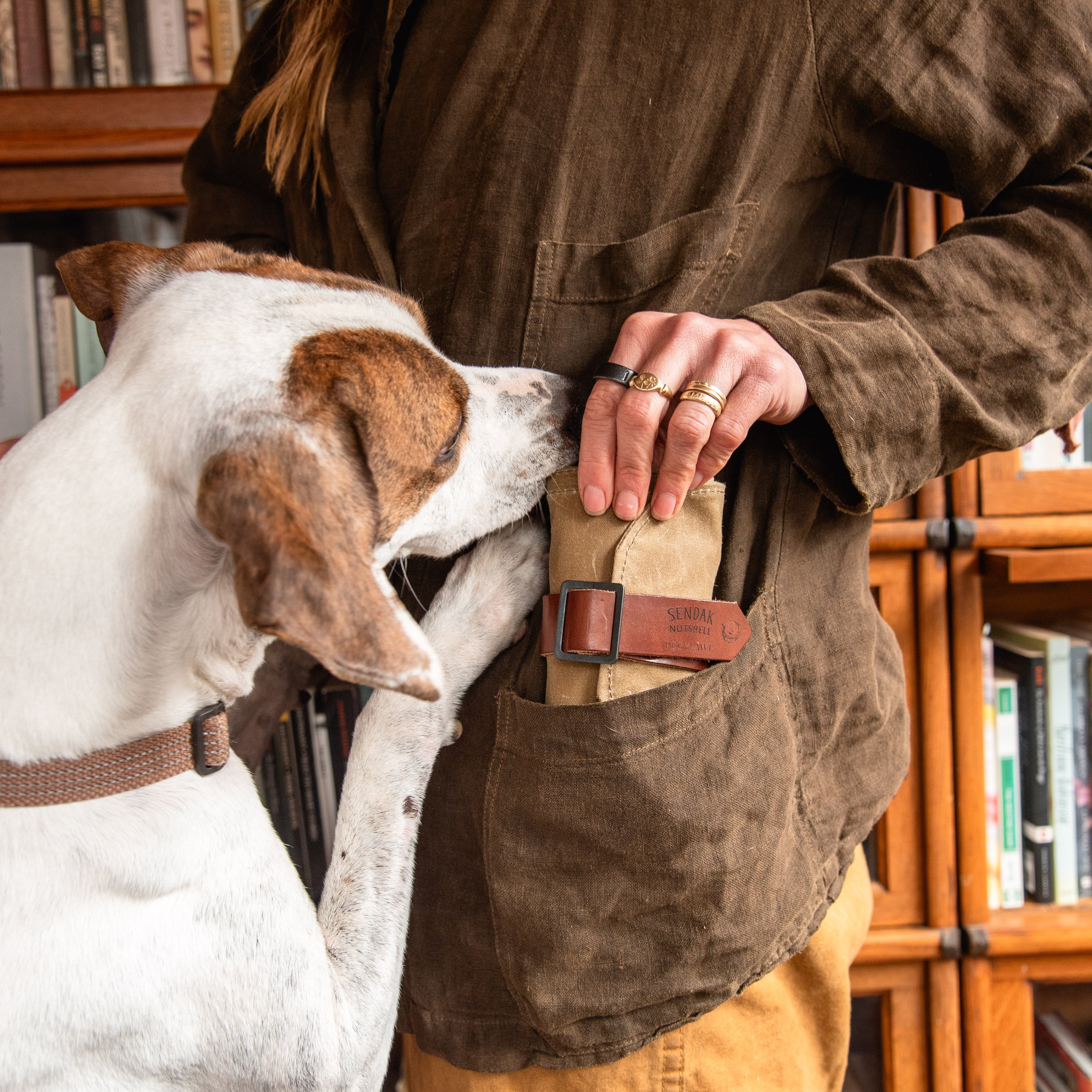 Sendak Nutshell Artist Roll