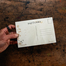 8 Postcards: Shimmera