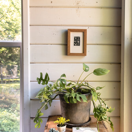 “Spring Ephemerals” Tetra Pak Print