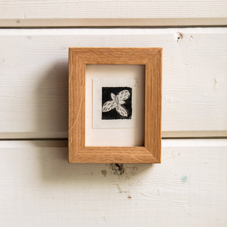 “Trillium No. 2” Tetra Pak Print