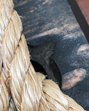 Olde-Fashioned Tree Swing – One of a Kind