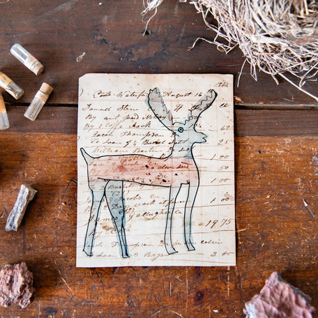 Foundlings Original Art: Antigonon