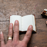 Antique Postcard Journal: No. 10