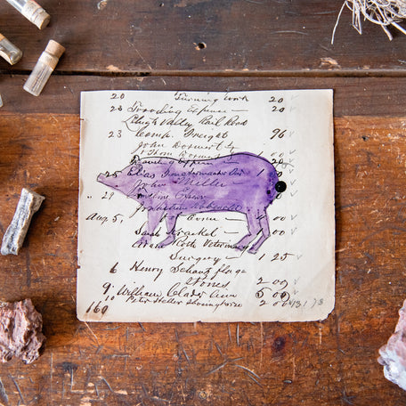 Foundlings Original Art: Bergamot