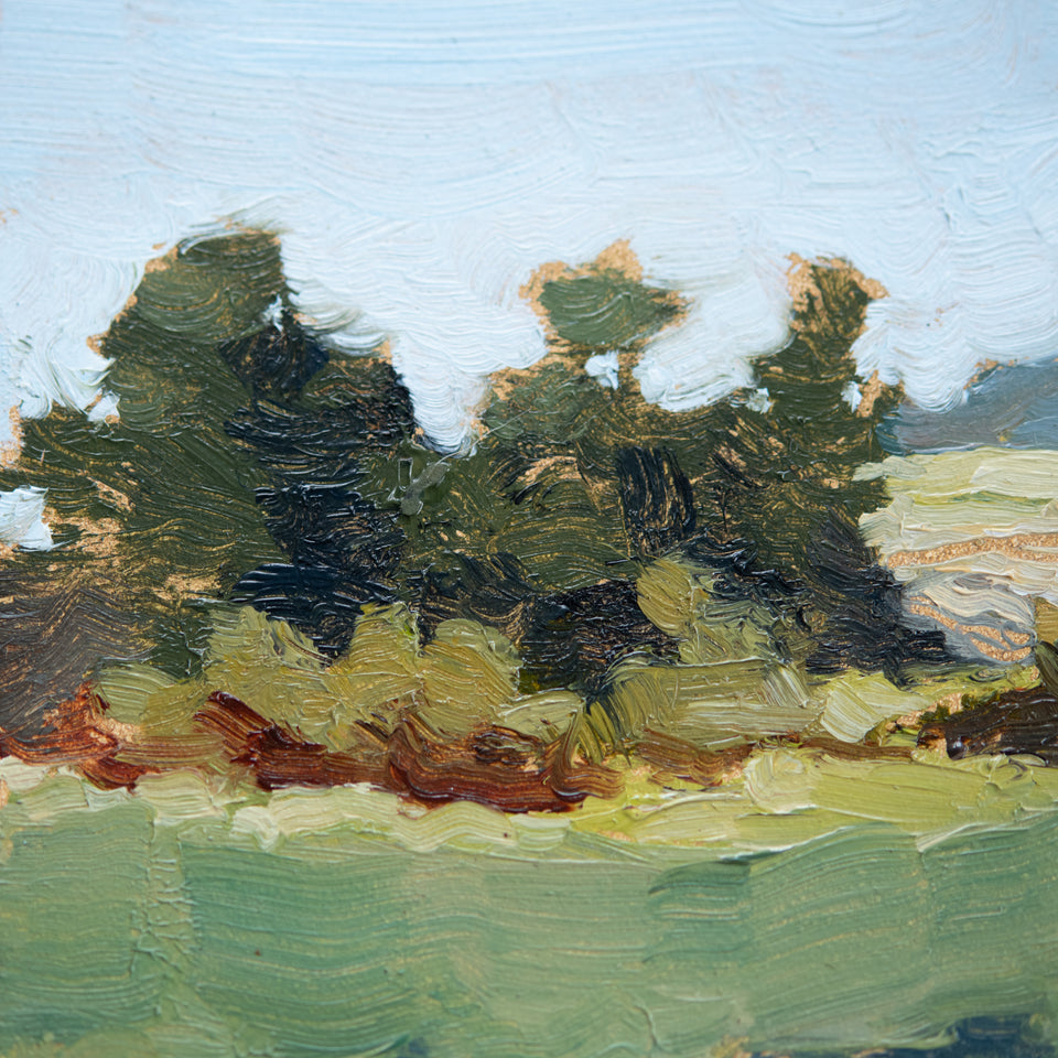 Original Plein Air Painting by Walter Kent: Exton Park No. 2, 2020