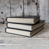 No. 44, Greta + Elijah: Companion Hand-Bound Tin Type Journal (XL)