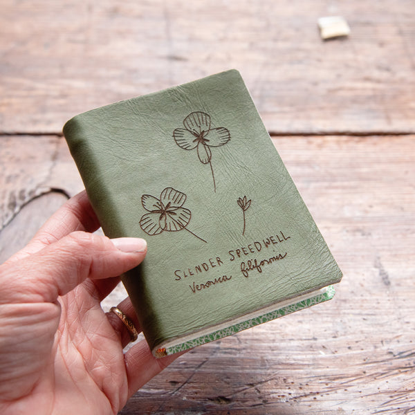 Pocket Journal with Slender Speedwell: Eirene