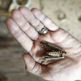 Medicine Ring