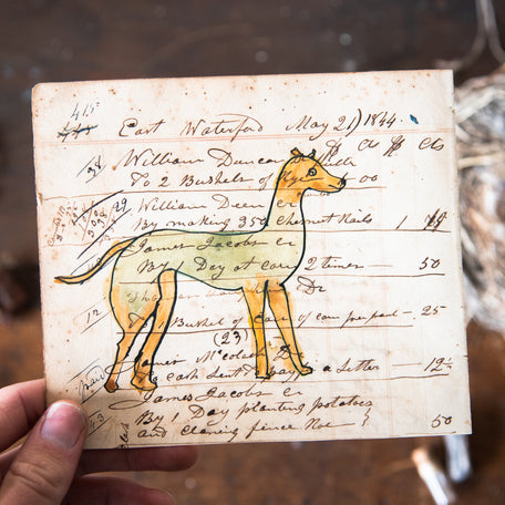 Foundlings Original Art: Nandina