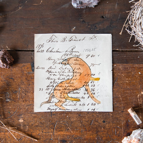 Foundlings Original Art: Nepeta