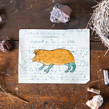 Foundlings Original Art: Pomelo