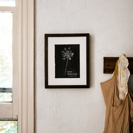 Botanical Art Print: Queen Anne’s Lace