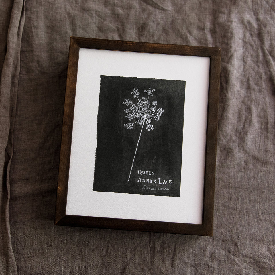 Botanical Art Print: Queen Anne’s Lace