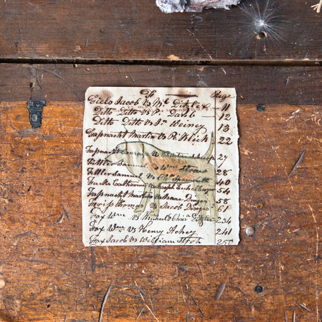 Foundlings Original Art: Sequoia