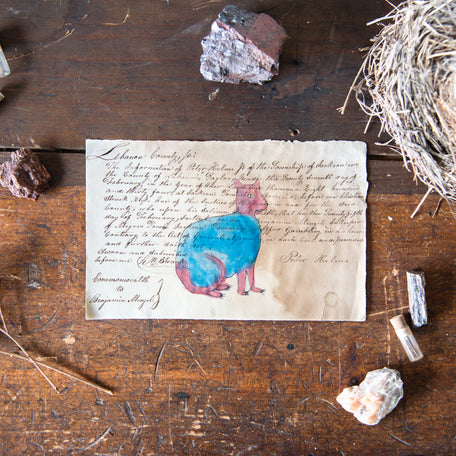 Foundlings Original Art: Torenia