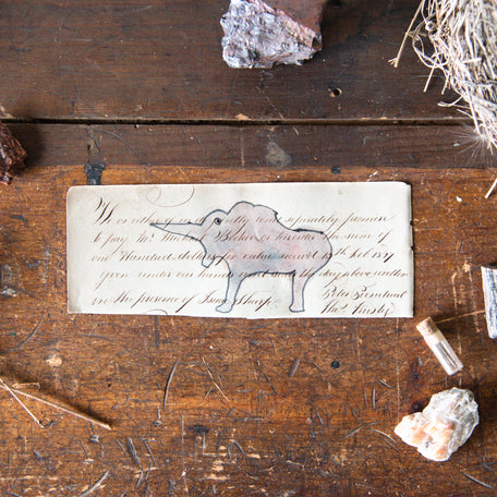 Foundlings Original Art: Ulmus