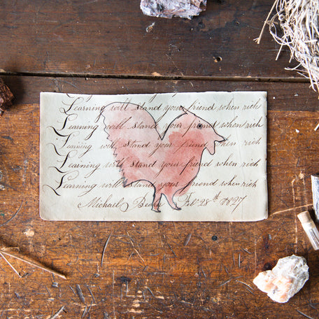 Foundlings Original Art: Yucca